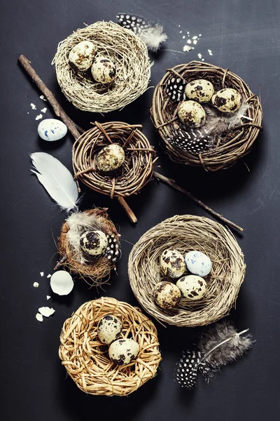 Ostern — Stockfoto