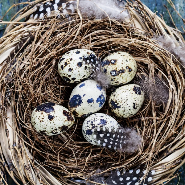 Ostern — Stockfoto