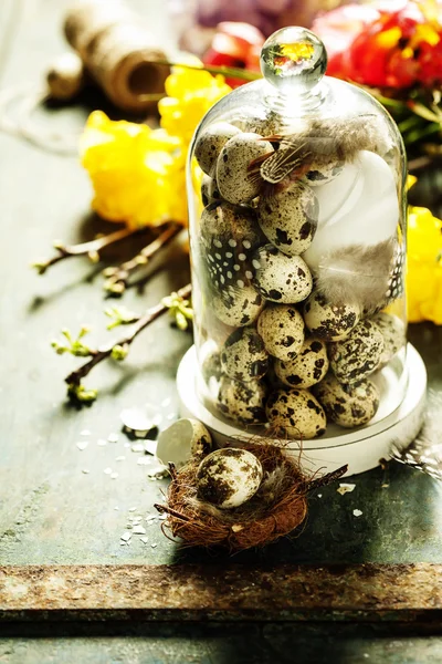 Quail eggs with easter decorations — Stock Photo, Image