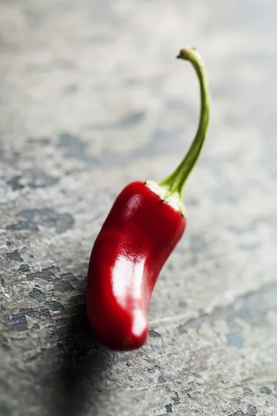 Chili paprika — Stockfoto