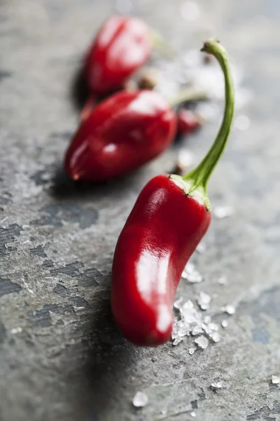 Chili paprika — Stockfoto