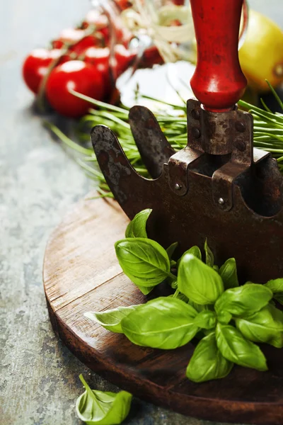 Vintage herb cutting mezzaluna knife and fresh ingredients — Stock Photo, Image