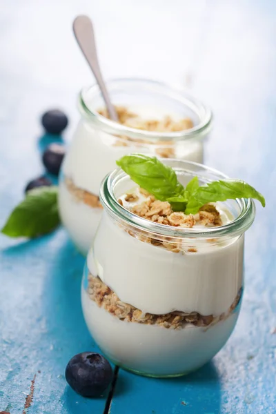 Gezond ontbijt - yoghurt met muesli en bessen — Stockfoto