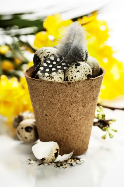 Quail eggs with easter decorations — Stock Photo, Image