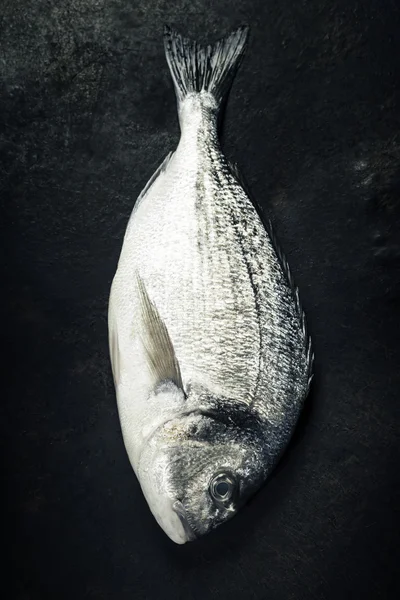 Heerlijke verse vis — Stockfoto