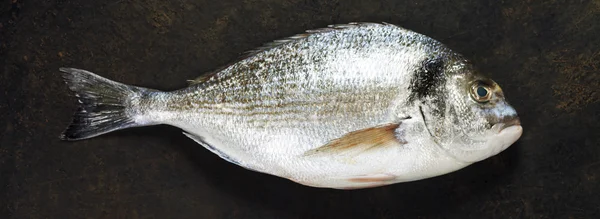 Delicioso pescado fresco —  Fotos de Stock