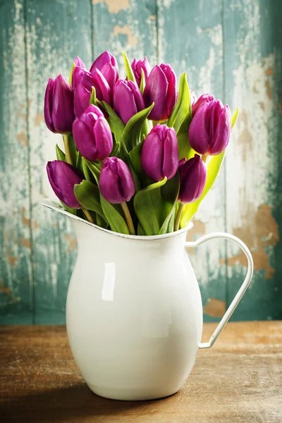 Tulipani primaverili — Foto Stock