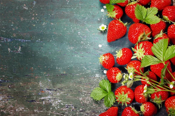 Frische Erdbeeren — Stockfoto