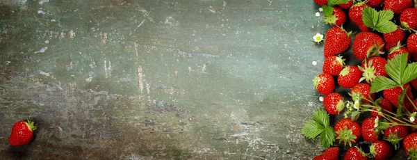 Morangos frescos — Fotografia de Stock
