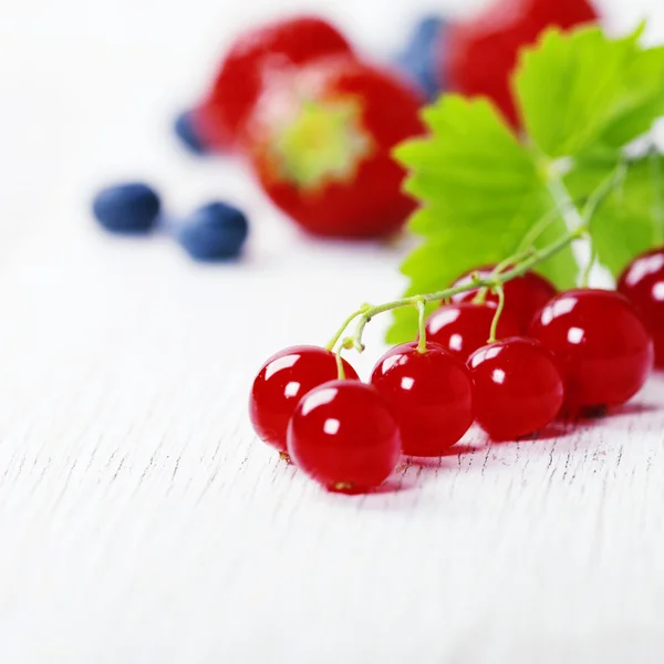 Blandning av färska bär — Stockfoto