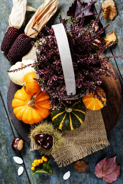 Concept d'automne avec fruits et légumes de saison — Photo