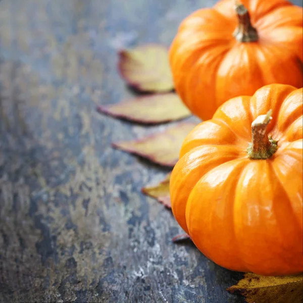 Autumn pumpkins — Stock Photo, Image