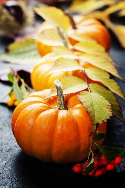 Podzimní koncept se sezónním ovocem a zeleninou — Stock fotografie