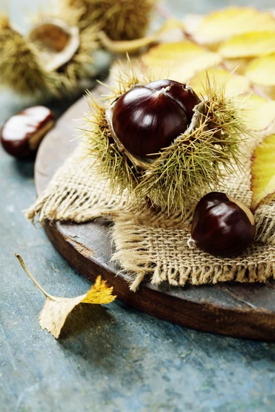 Herfst concept, met kastanjes en bladeren — Stockfoto