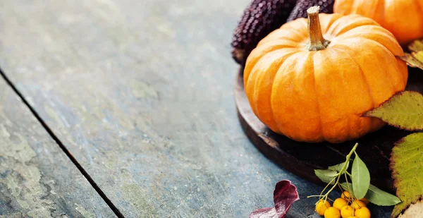 Concept d'automne avec fruits et légumes de saison — Photo