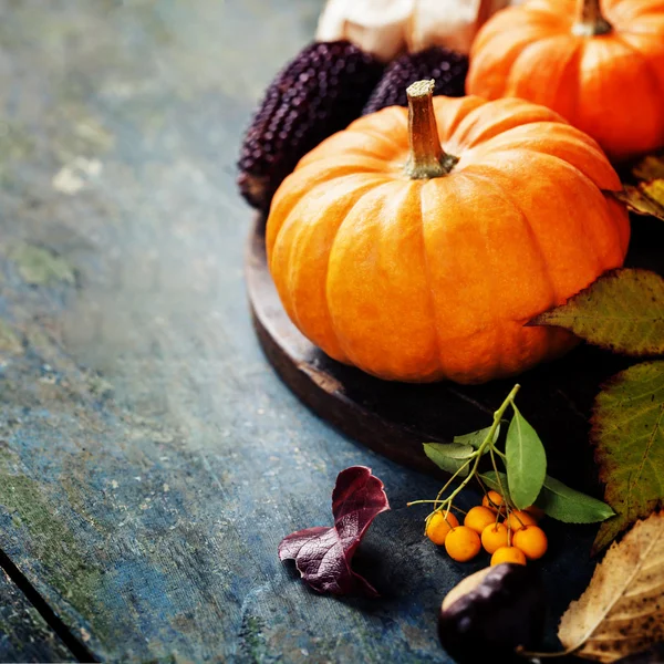 Herbstkonzept mit saisonalem Obst und Gemüse — Stockfoto