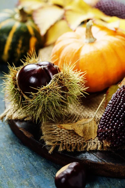 Herbstkonzept mit saisonalem Obst und Gemüse — Stockfoto