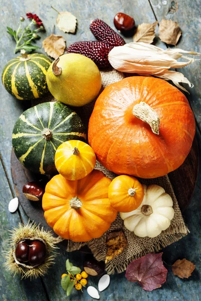 Herbstkonzept mit saisonalem Obst und Gemüse — Stockfoto