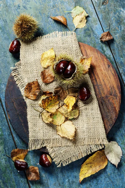 Autumn concept with Chestnuts and leaves — Stock Photo, Image