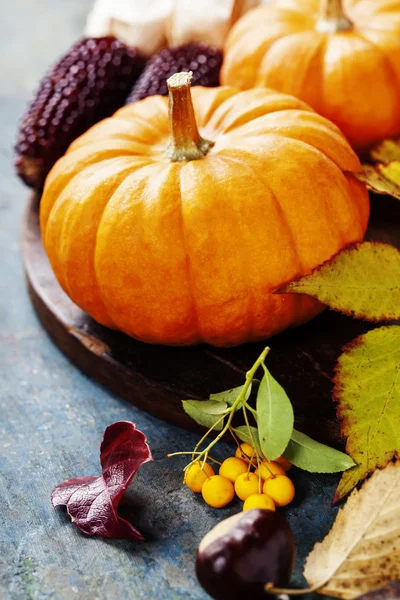 Conceito de outono com frutas e legumes sazonais — Fotografia de Stock