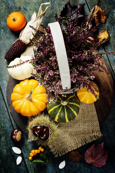 Concept d'automne avec fruits et légumes de saison — Photo