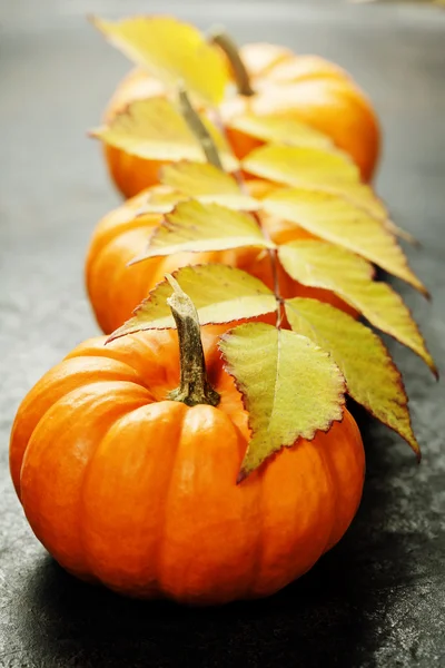 Calabazas — Foto de Stock