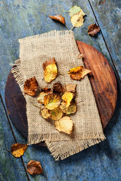 Concetto autunnale con foglie — Foto Stock