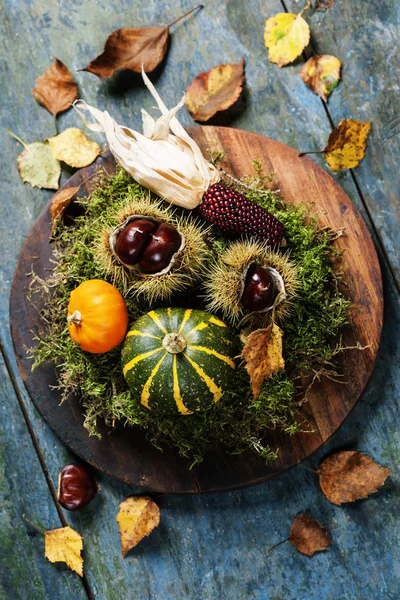 Autumn concept with seasonal fruits and vegetables — Stock Photo, Image