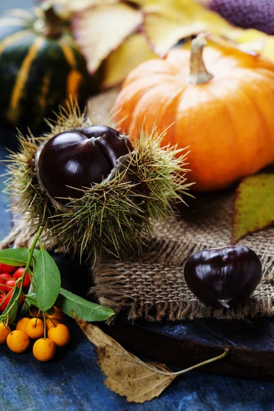 Concept d'automne avec fruits et légumes de saison — Photo