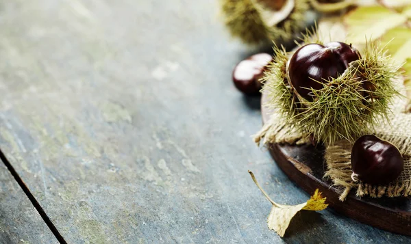 Concepto de otoño con castañas y hojas — Foto de Stock