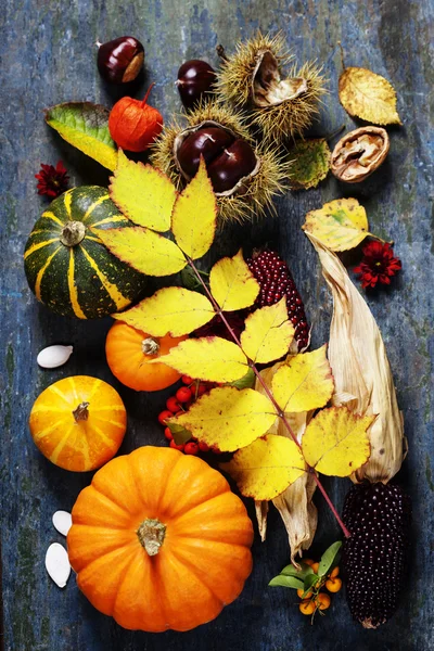 Φθινοπωρινή έννοια με εποχιακά φρούτα και λαχανικά — Φωτογραφία Αρχείου