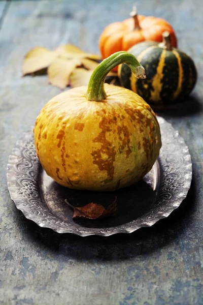 Zucche autunno su sfondo vintage — Foto Stock