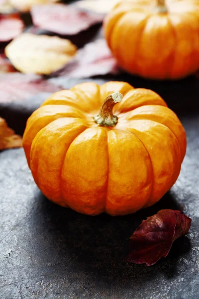 Calabazas sobre fondo vintage —  Fotos de Stock