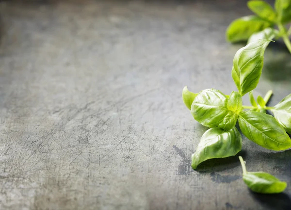 Albahaca fresca sobre fondo vintage — Foto de Stock