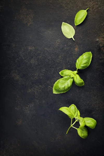 Basil leaves on dark background — Stock Photo, Image