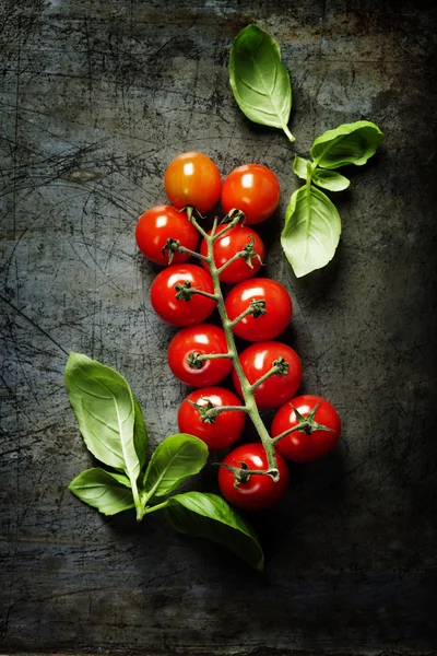 Fresh grape tomatoes with basil — Stock Photo, Image