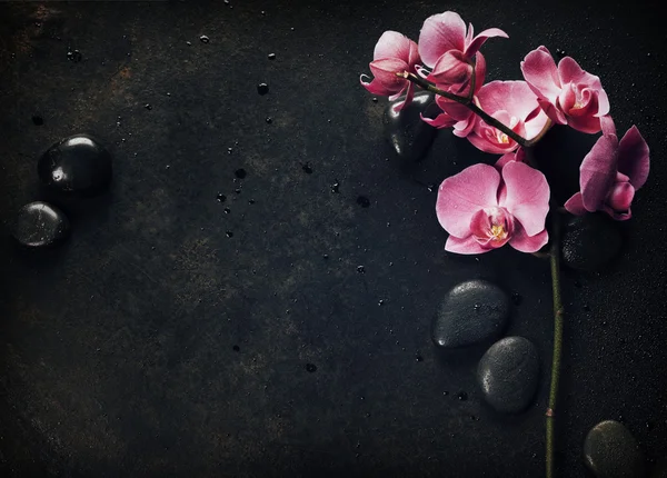 Piedras de spa y orquídea rosa sobre el fondo oscuro —  Fotos de Stock