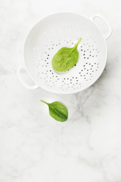 Roher frischer Spinat — Stockfoto