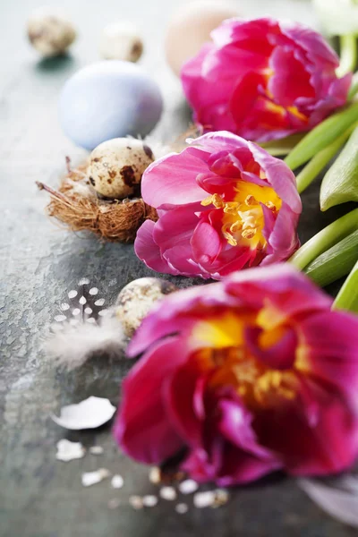 Pasen samenstelling met tulpen — Stockfoto