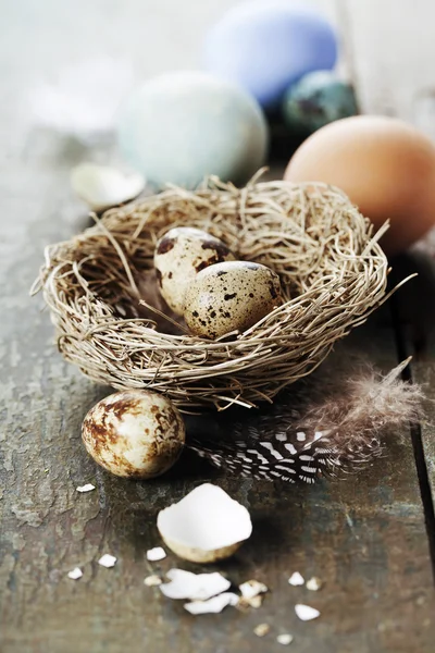 Paaseieren en nest op houten achtergrond — Stockfoto