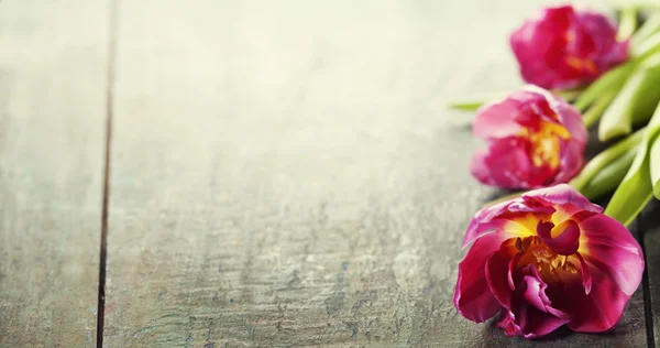 木制背景上的粉红郁金香 — 图库照片