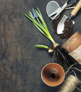 Karanlık antika arka plan üzerinde Bahçe aletleri