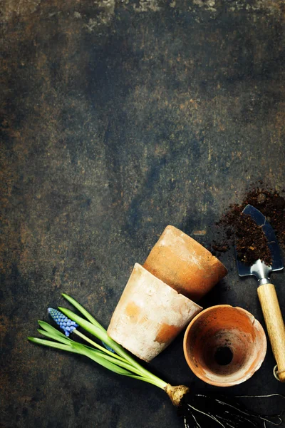 Garden tools on dark background — Stock Photo, Image