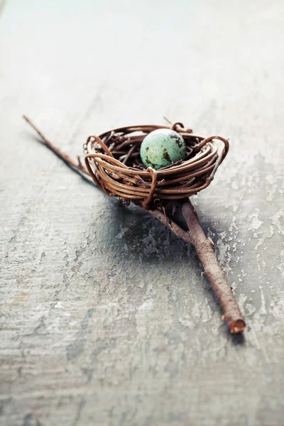 Composición de Pascua con huevos y nido —  Fotos de Stock