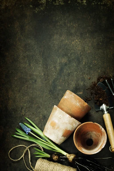 Garden tools on dark vintage background — Stock Photo, Image