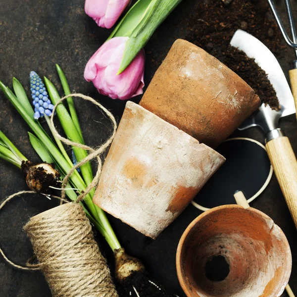 Attrezzi da giardino su sfondo vintage scuro — Foto Stock