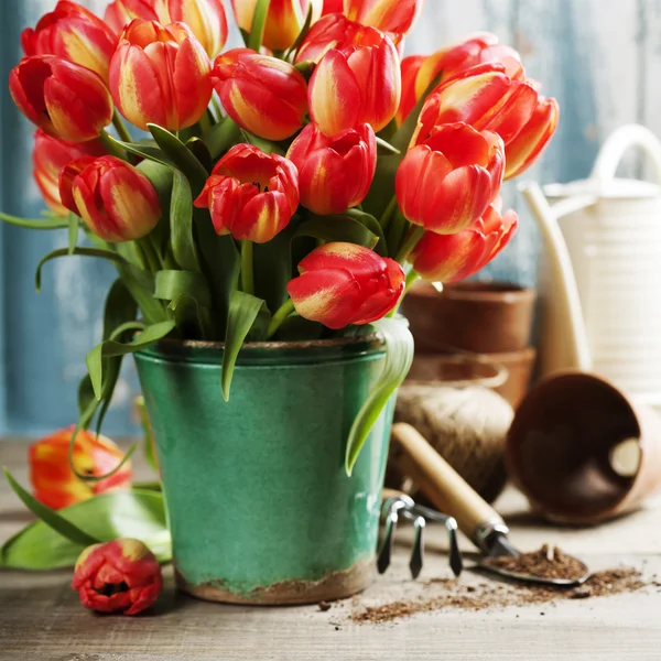 Bonito buquê de tulipas e ferramentas de jardim na mesa de madeira — Fotografia de Stock