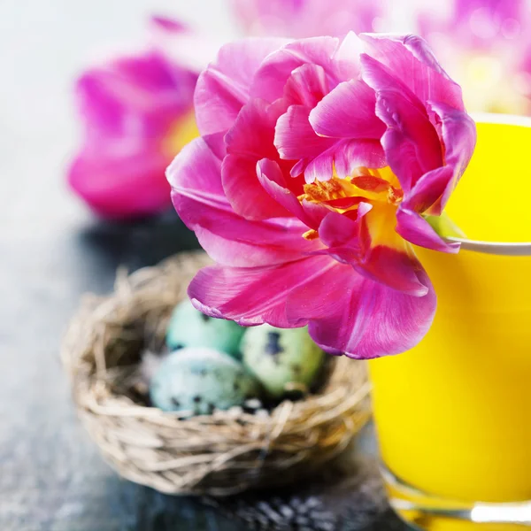 Easter composition with tulips — Stock Photo, Image