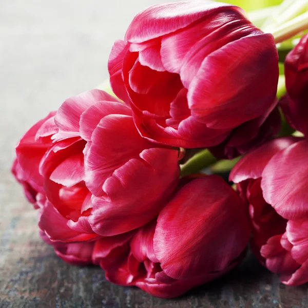 Tulipas rosa em fundo de madeira — Fotografia de Stock