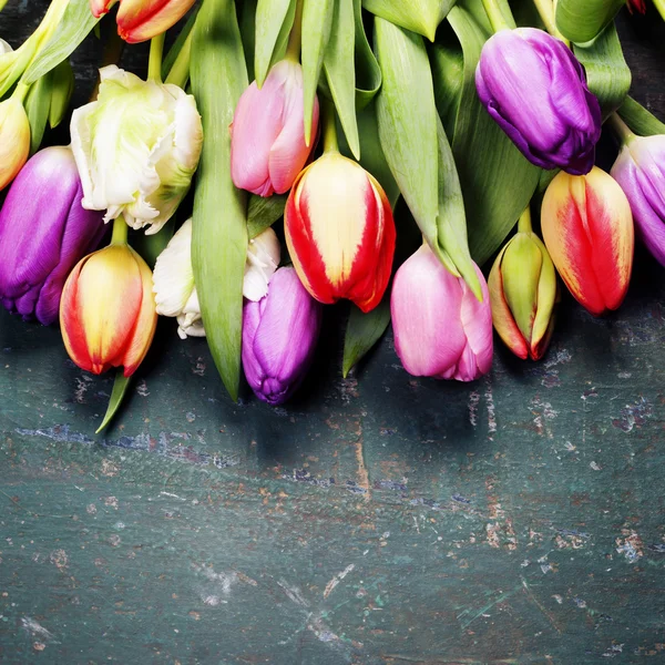 Tulpen op een houten achtergrond — Stockfoto